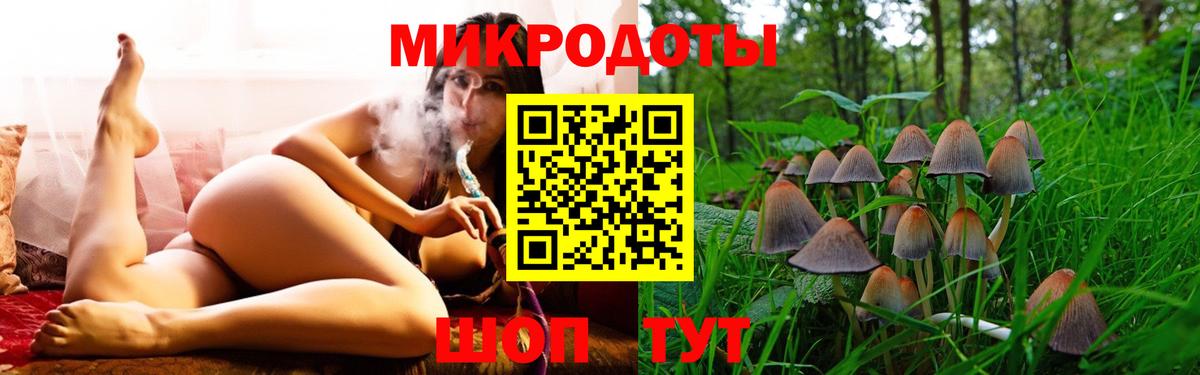 Псилоцибиновые грибы прущие грибы  Вход с VPN  Кимры 